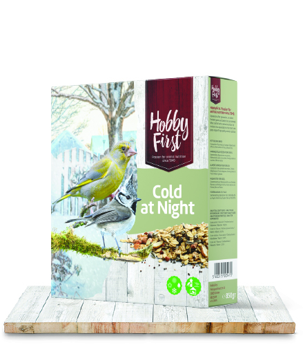 Wildlife Cold at Night