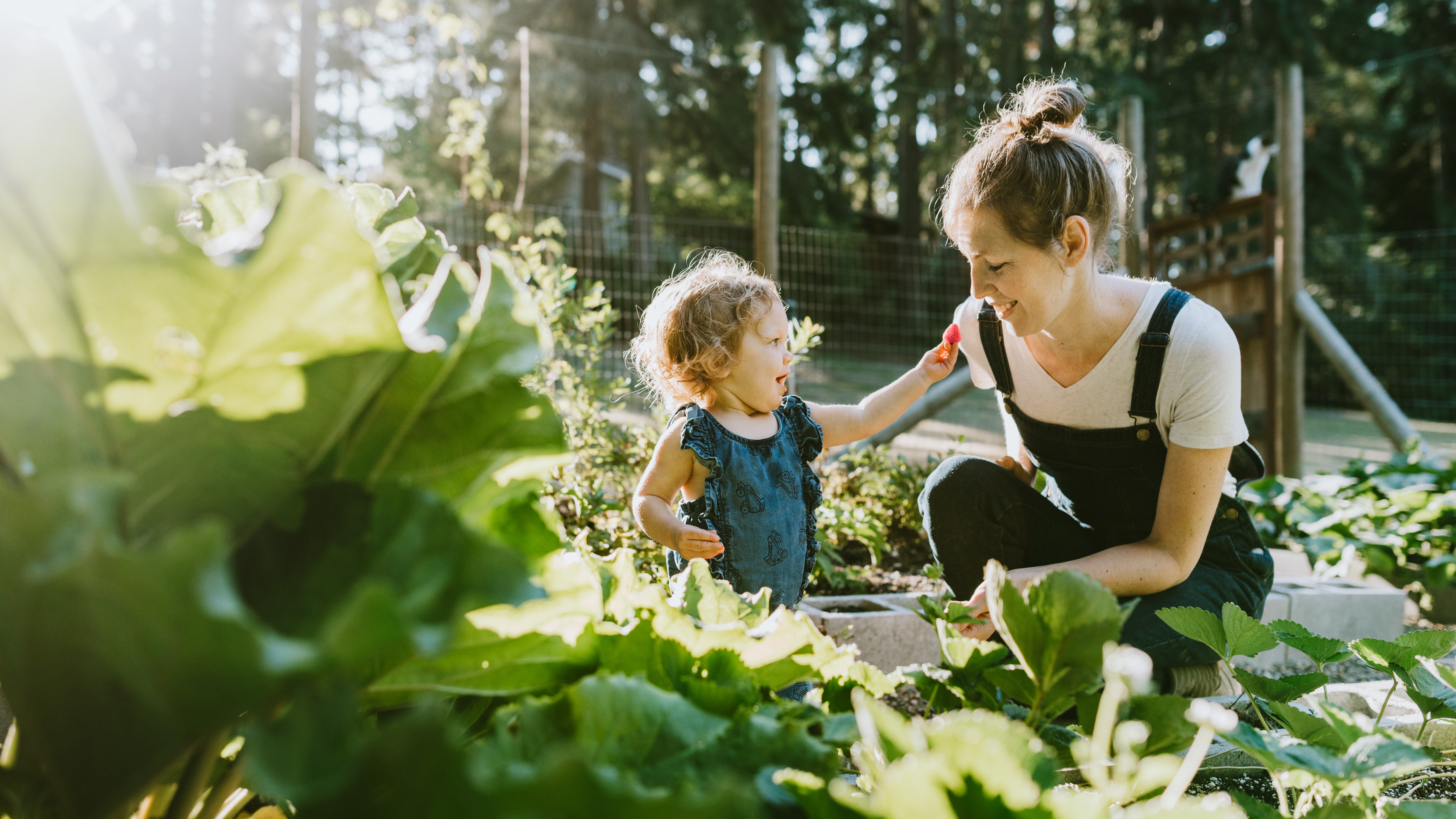Image d’une femme qui travaille dans le potager - Aveve