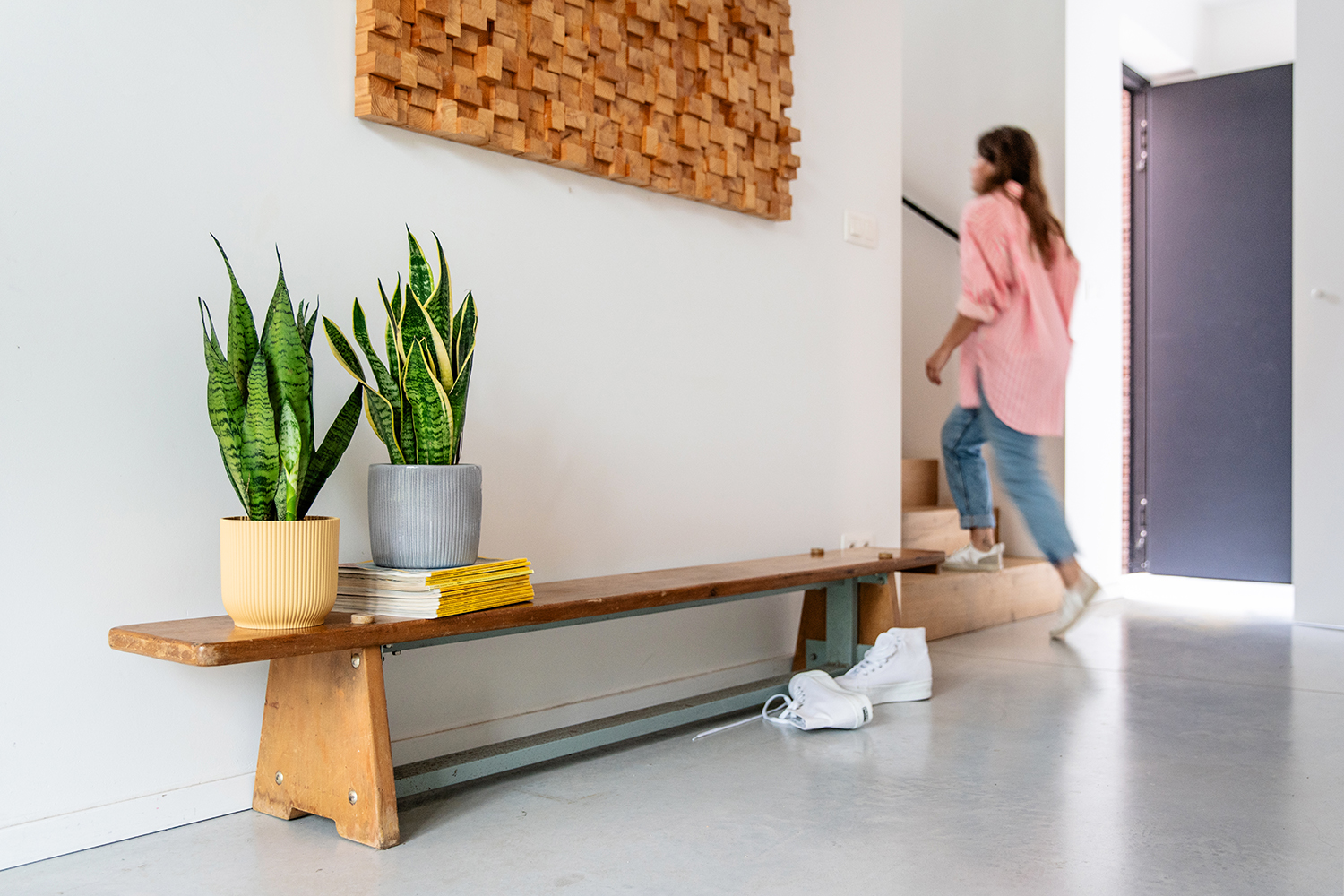 Jonge vrouw maakt huiswerk aan een houten bureau met een mooie sansevieria in een gele pot ernaast - Aveve