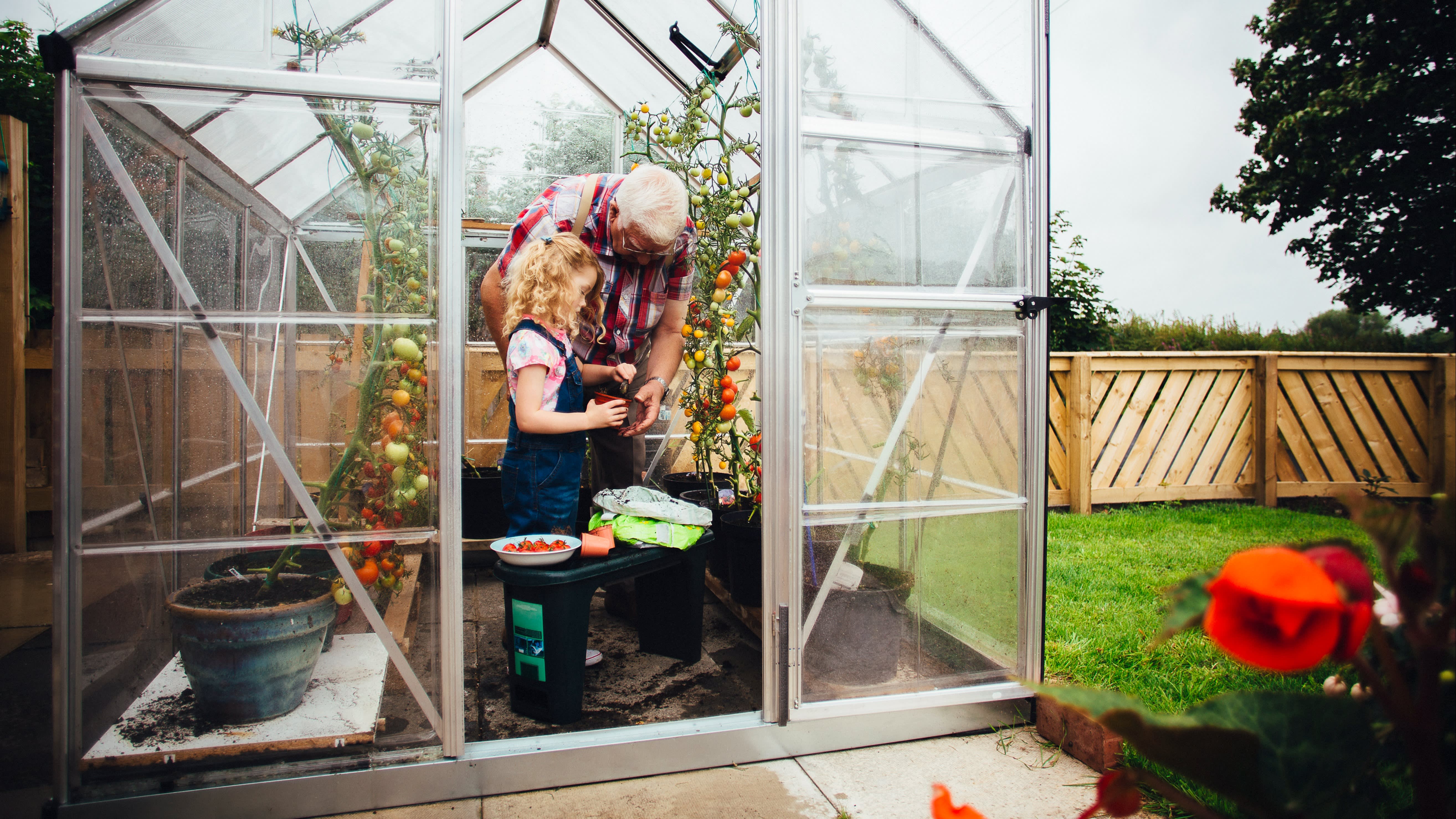 Image de l’intérieur d’une serre avec des légumes - Aveve