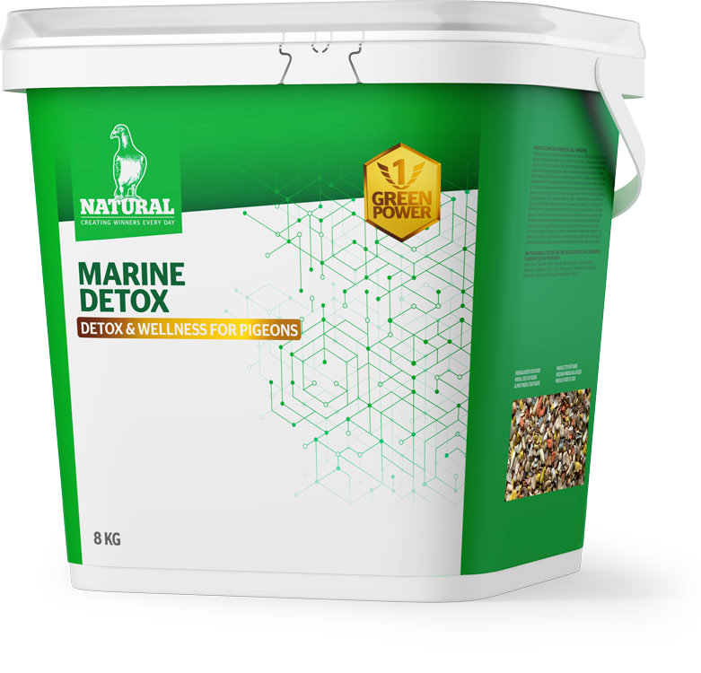 Green Power Marine Detox packshot