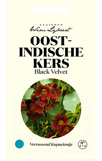 Oost-Indische Kers Black Velvet
