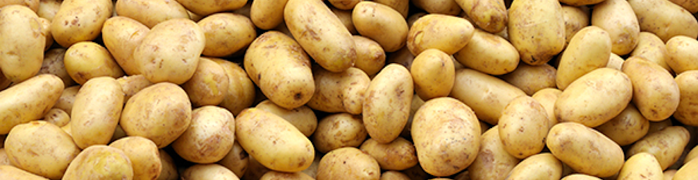 Pommes de terre 5 968x250px