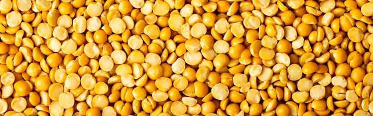 Why choose pea-based?