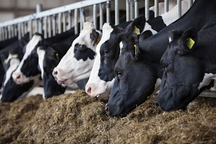 01.11.2025_Nieuwsbrief_AN_ProLac Start Elit 21 VLOG