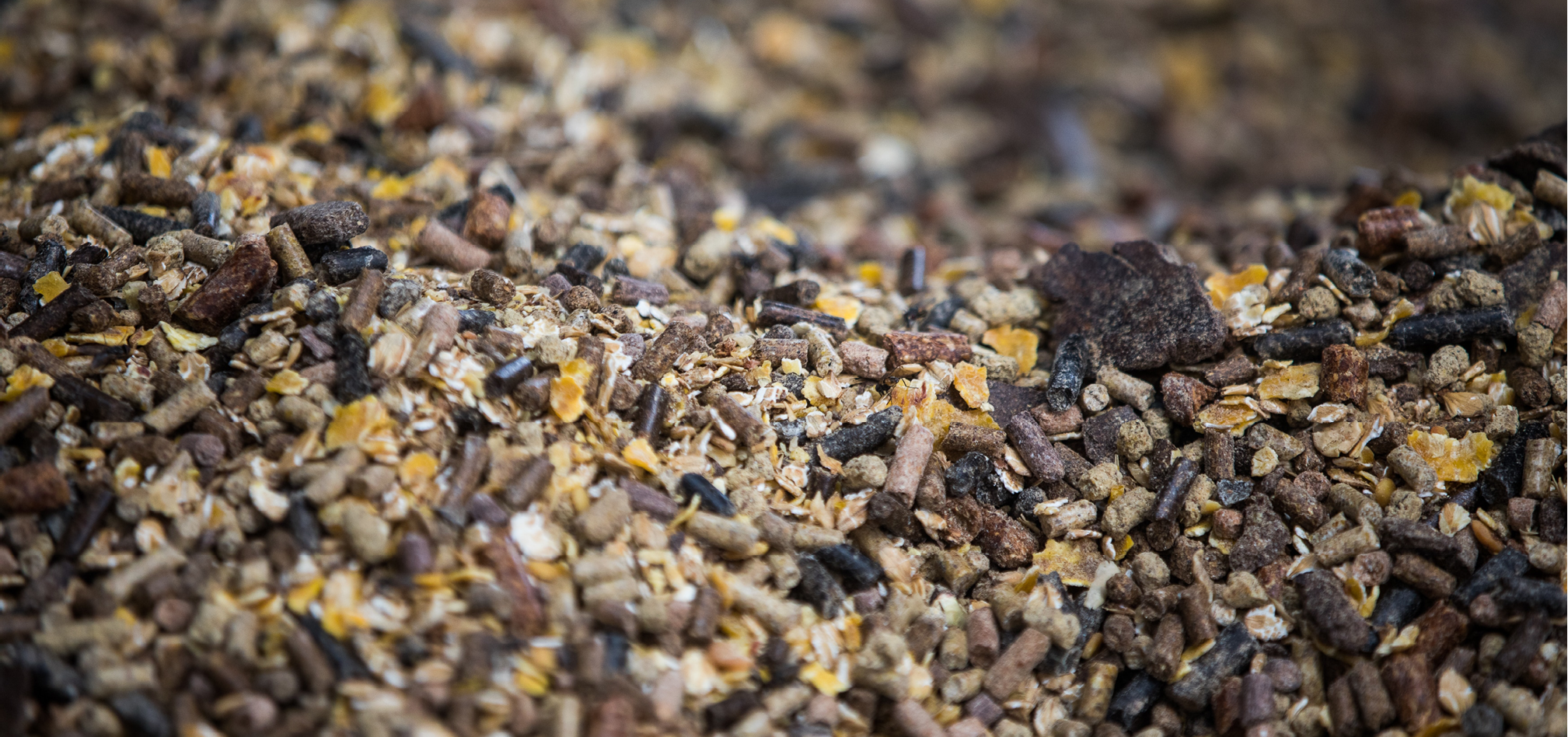 Vleesvee expertise 968x455px