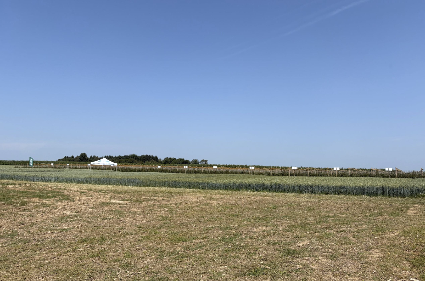 Sterk staaltje samenwerking op vernieuwde site!