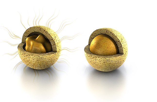 Palital Gradual Release Urea - Victurea