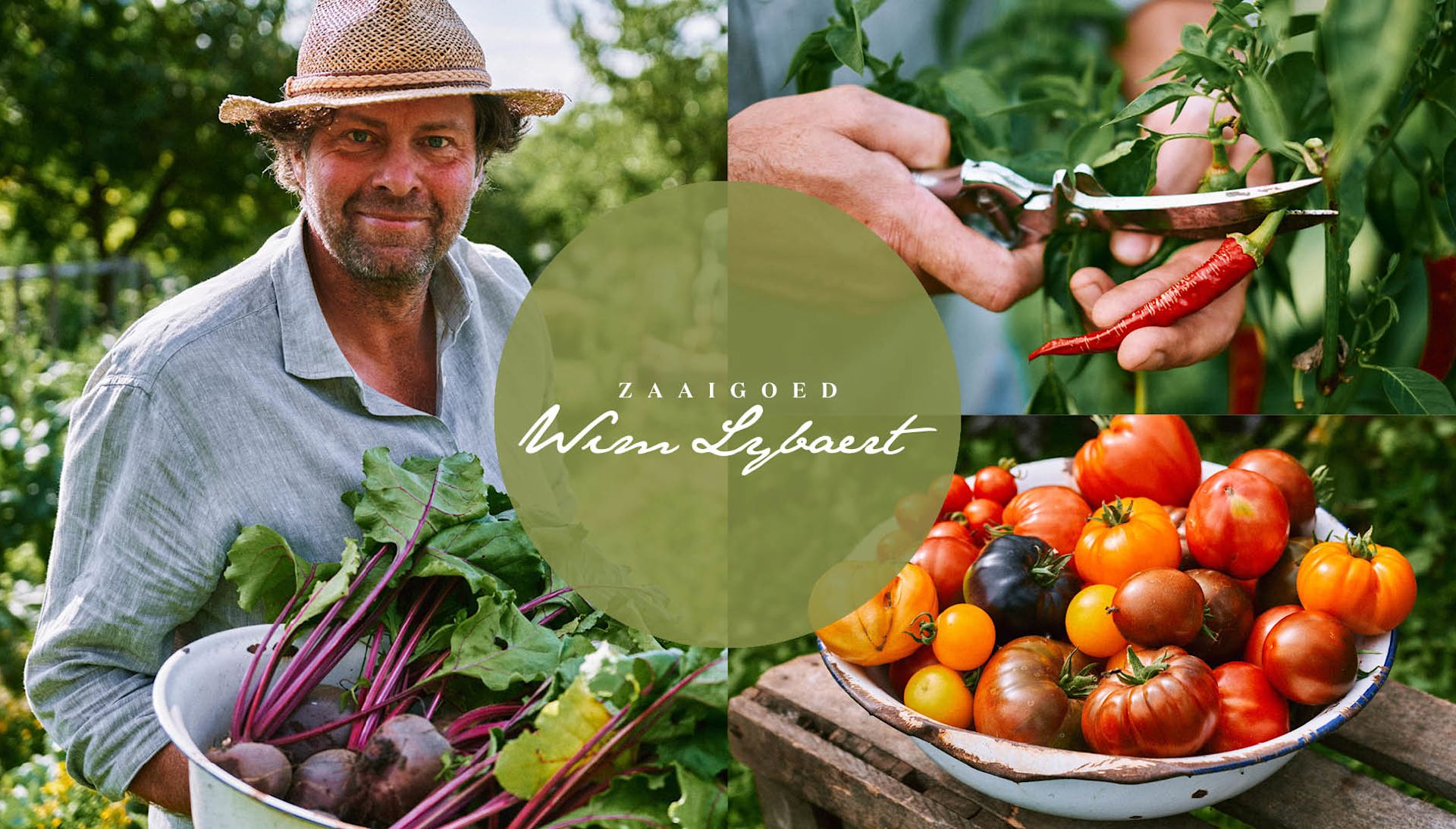 Over Zaaigoed Wim Lybaert