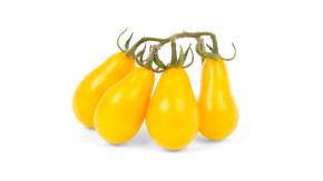 Tomaat Yellow Pearshaped