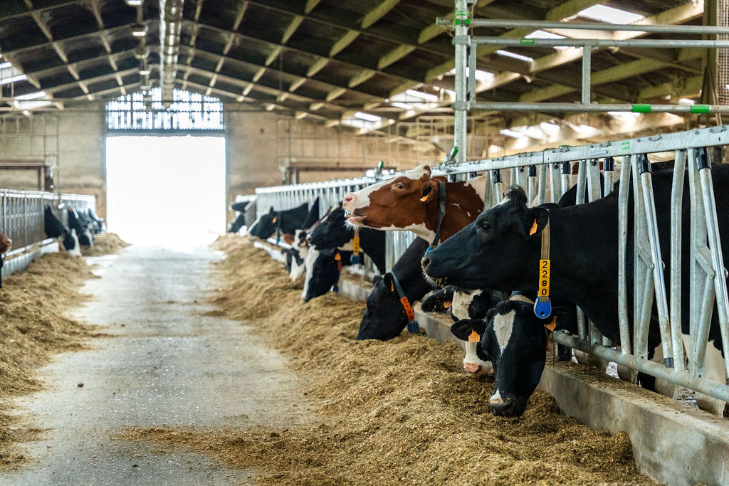 24.04.2026_Nieuwsbrief_AN_Link2Farm