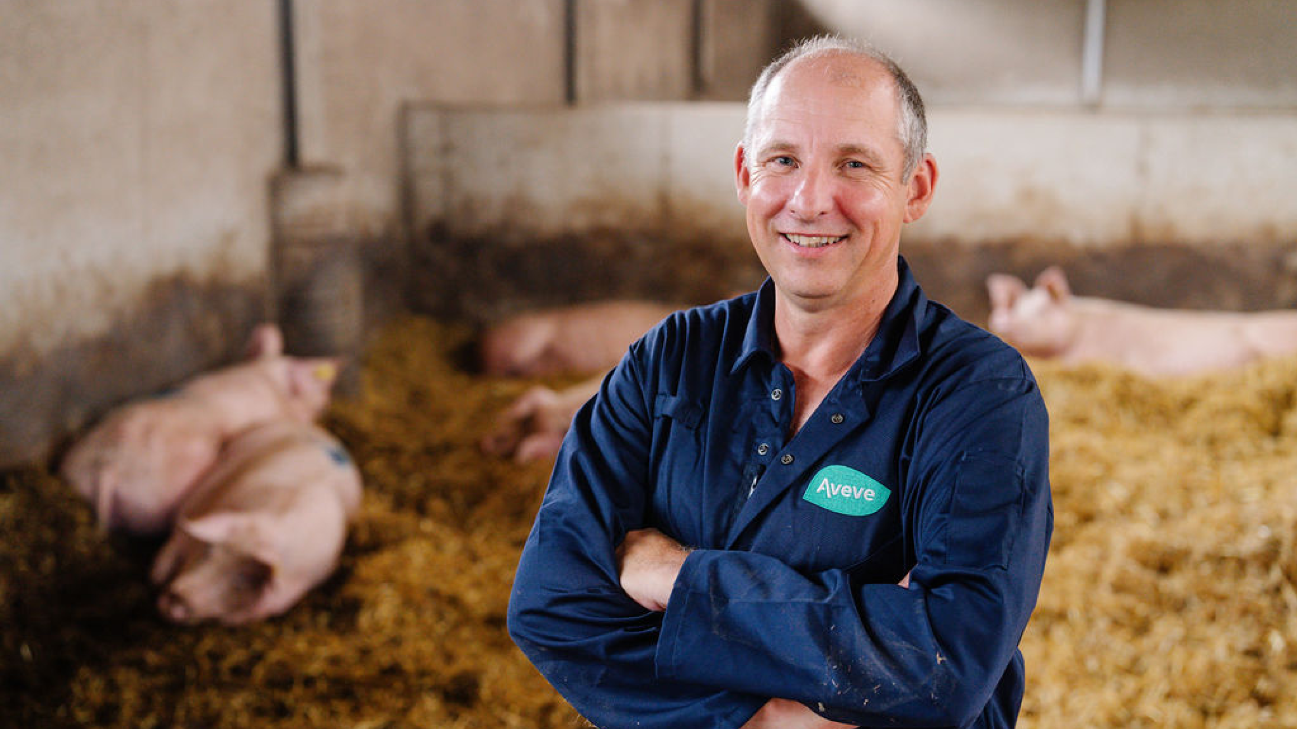 Meer weten over onze voeders die perfect aangepast zijn aan je zeugen?