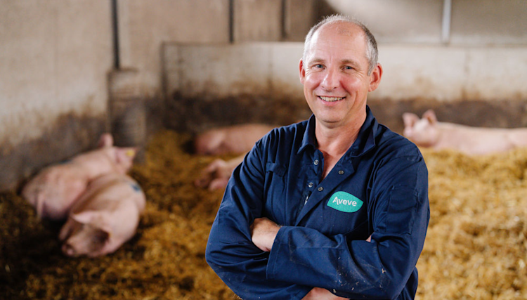 Meer weten over onze voeders die perfect aangepast zijn aan je zeugen?