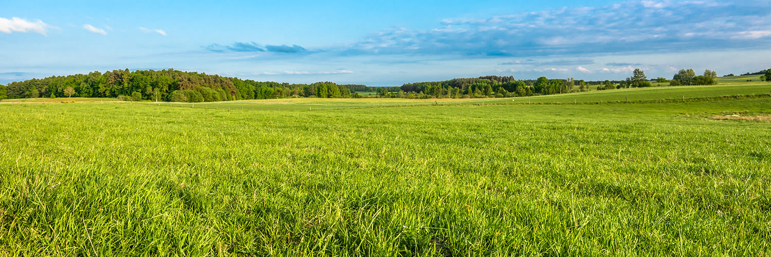 aveve land-en tuinbouw - graslandmengsels - zaden