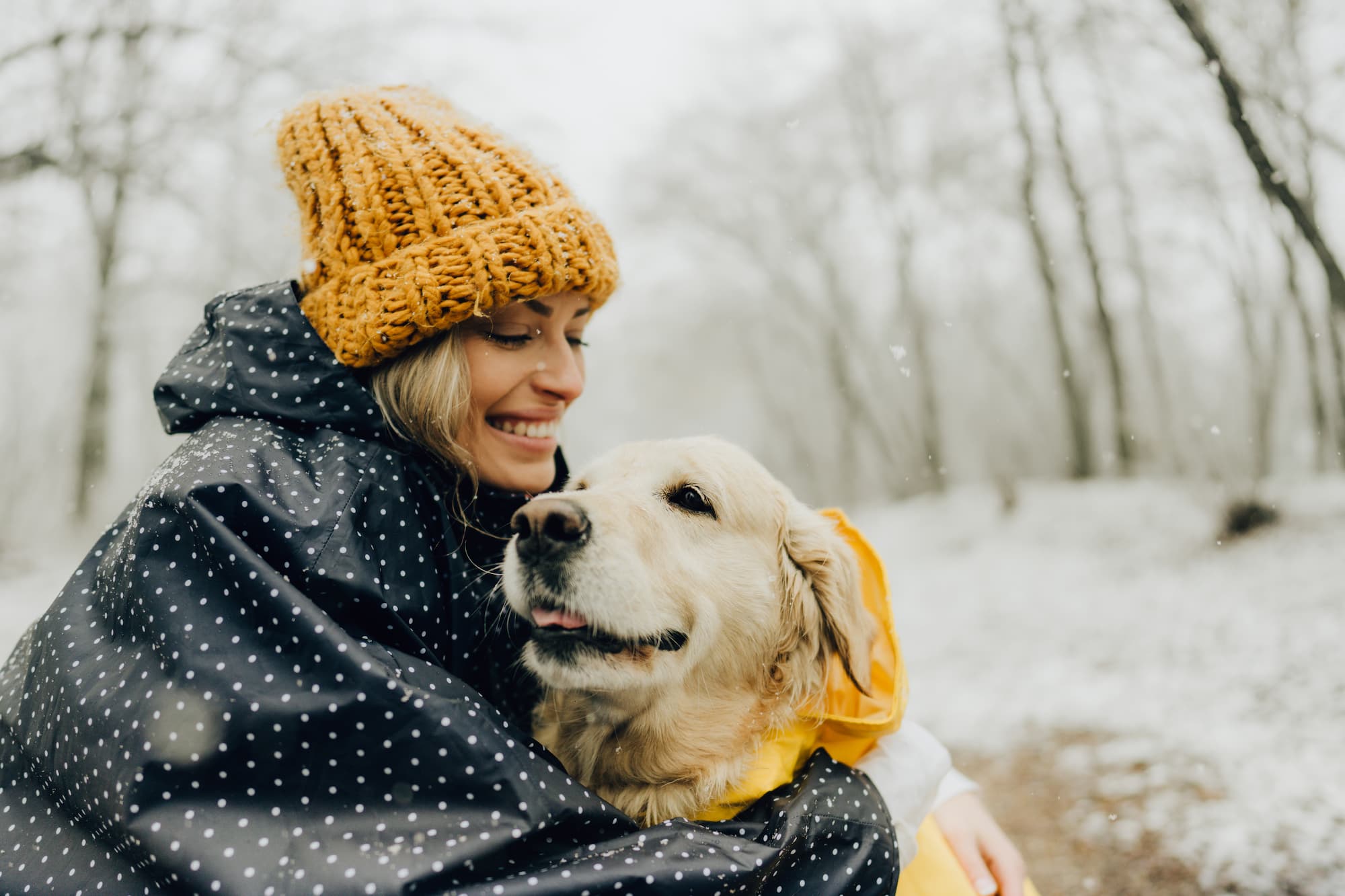 Winter - vrouw met hond in de sneeuw