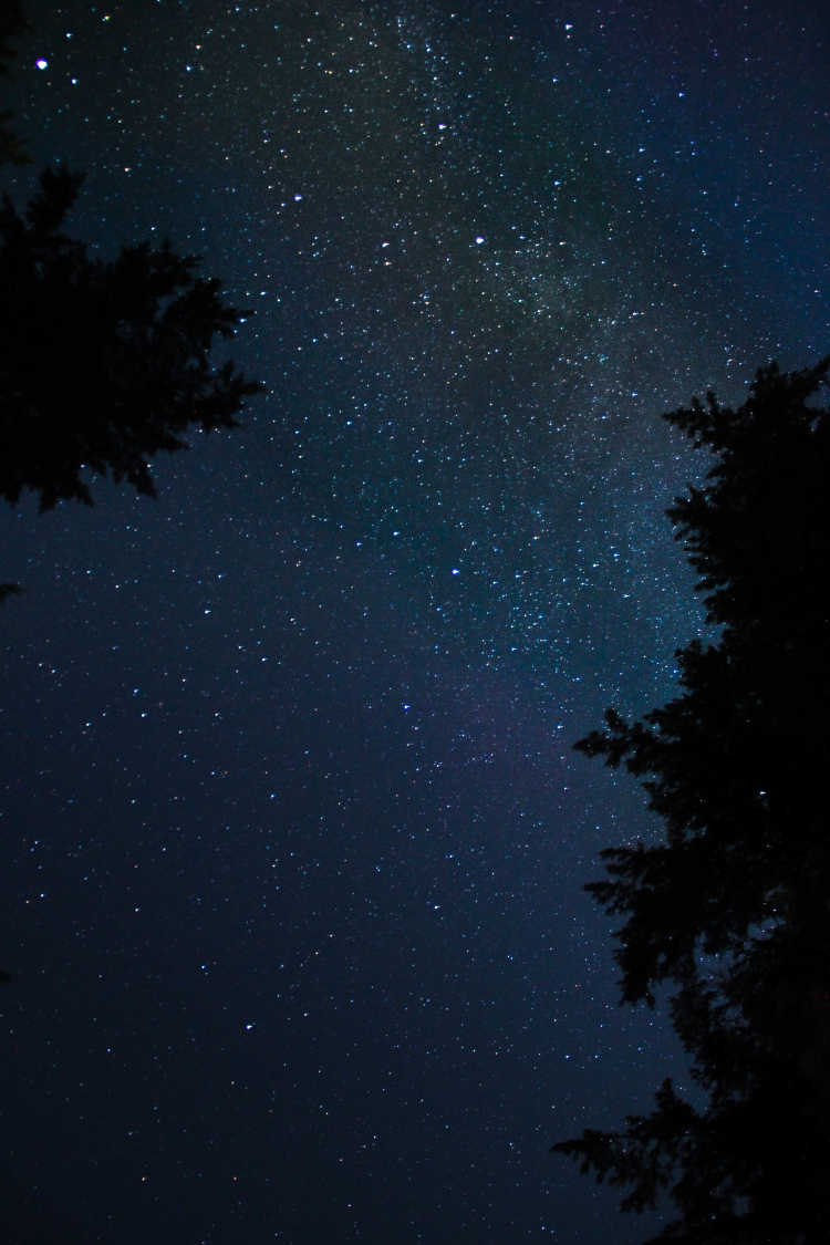 Starry Maine Sky
