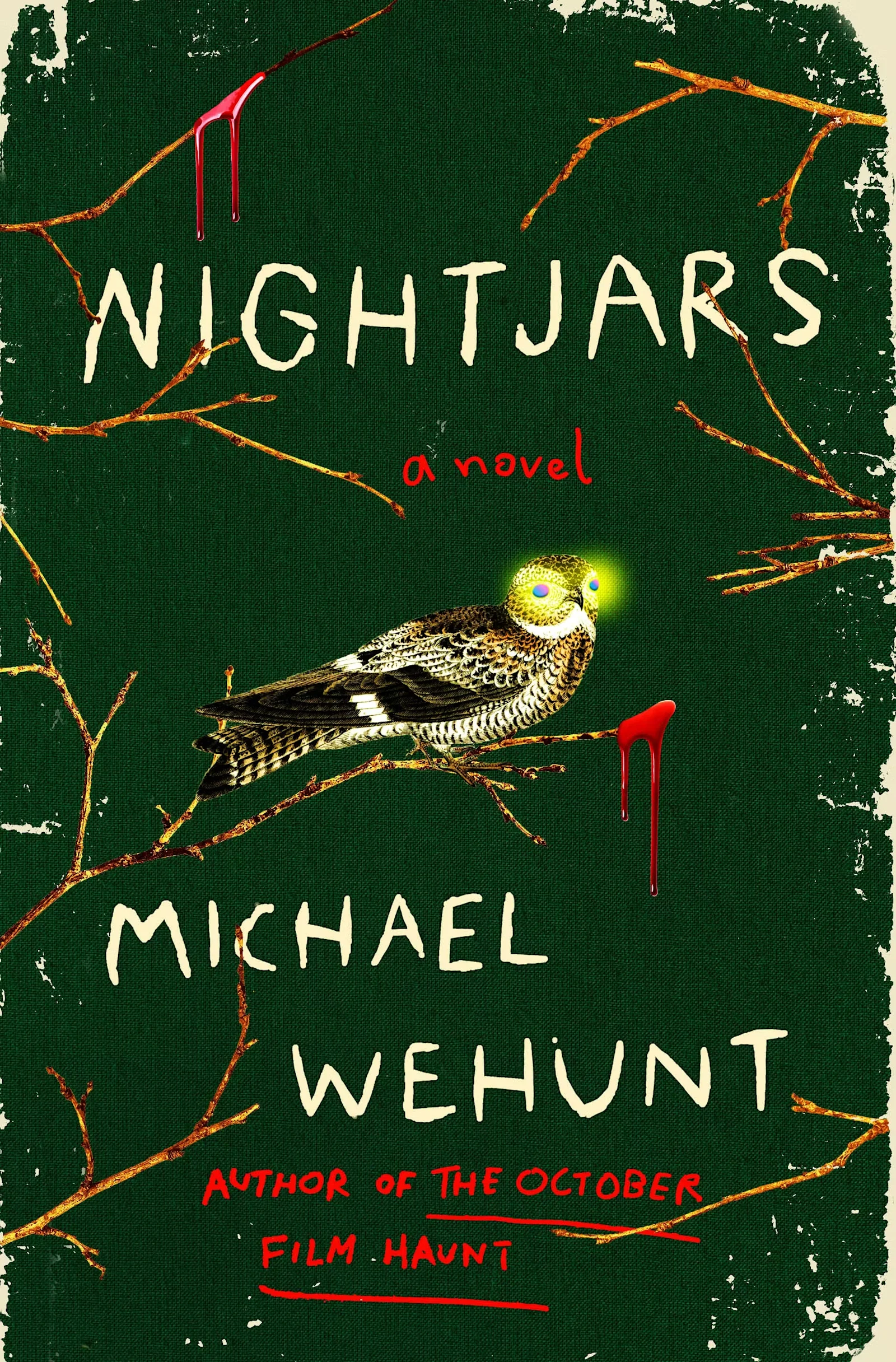Cover photo for Nightjars