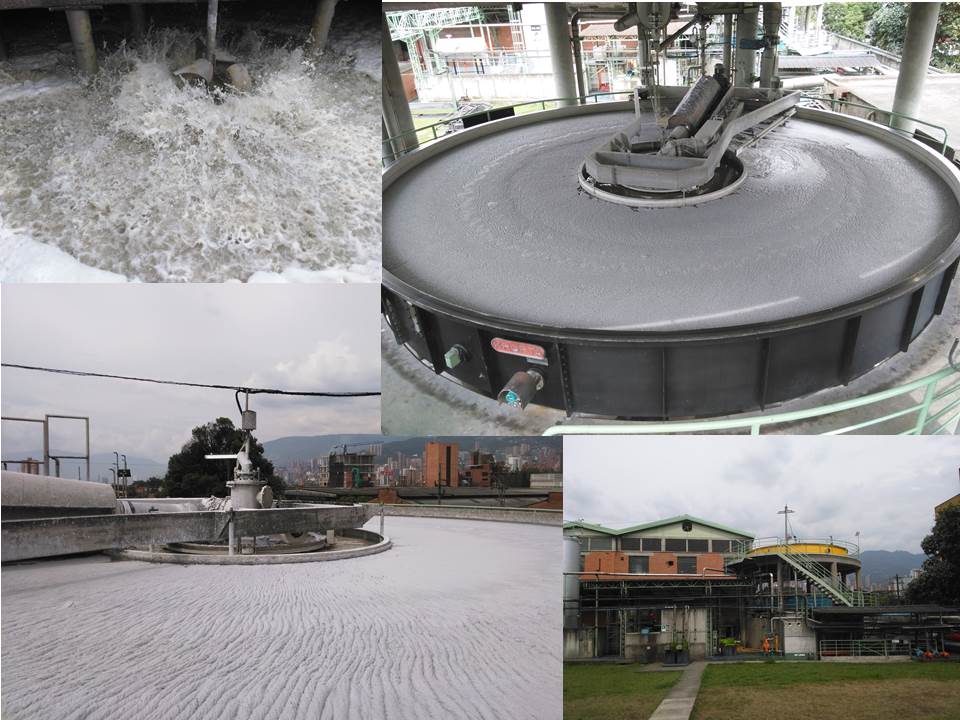 planta-medell%C3%ADn1