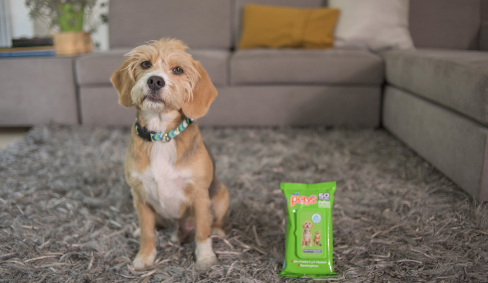 26-Conoce-los-nuevos-Pañitos-Húmedos-Petys