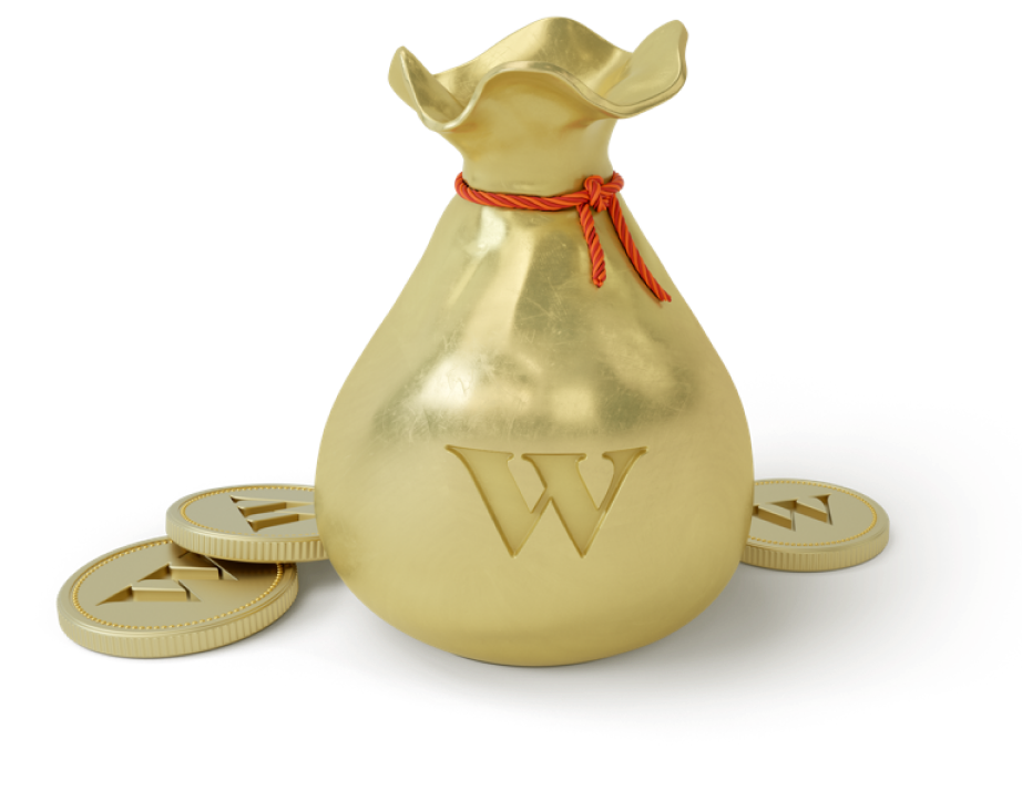 WS Money Bag