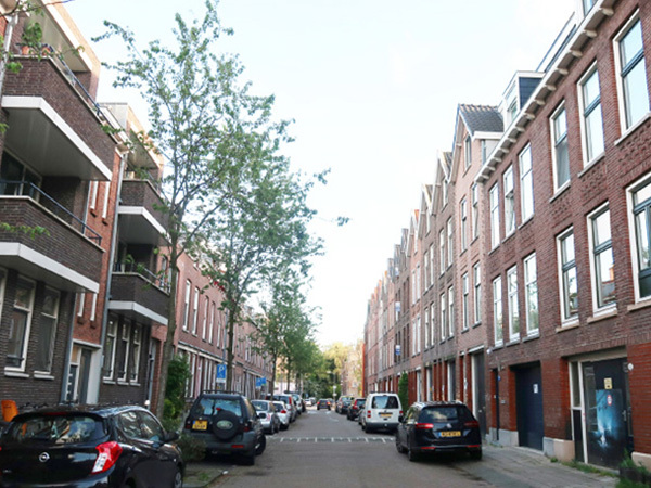 Rotterdam Houses