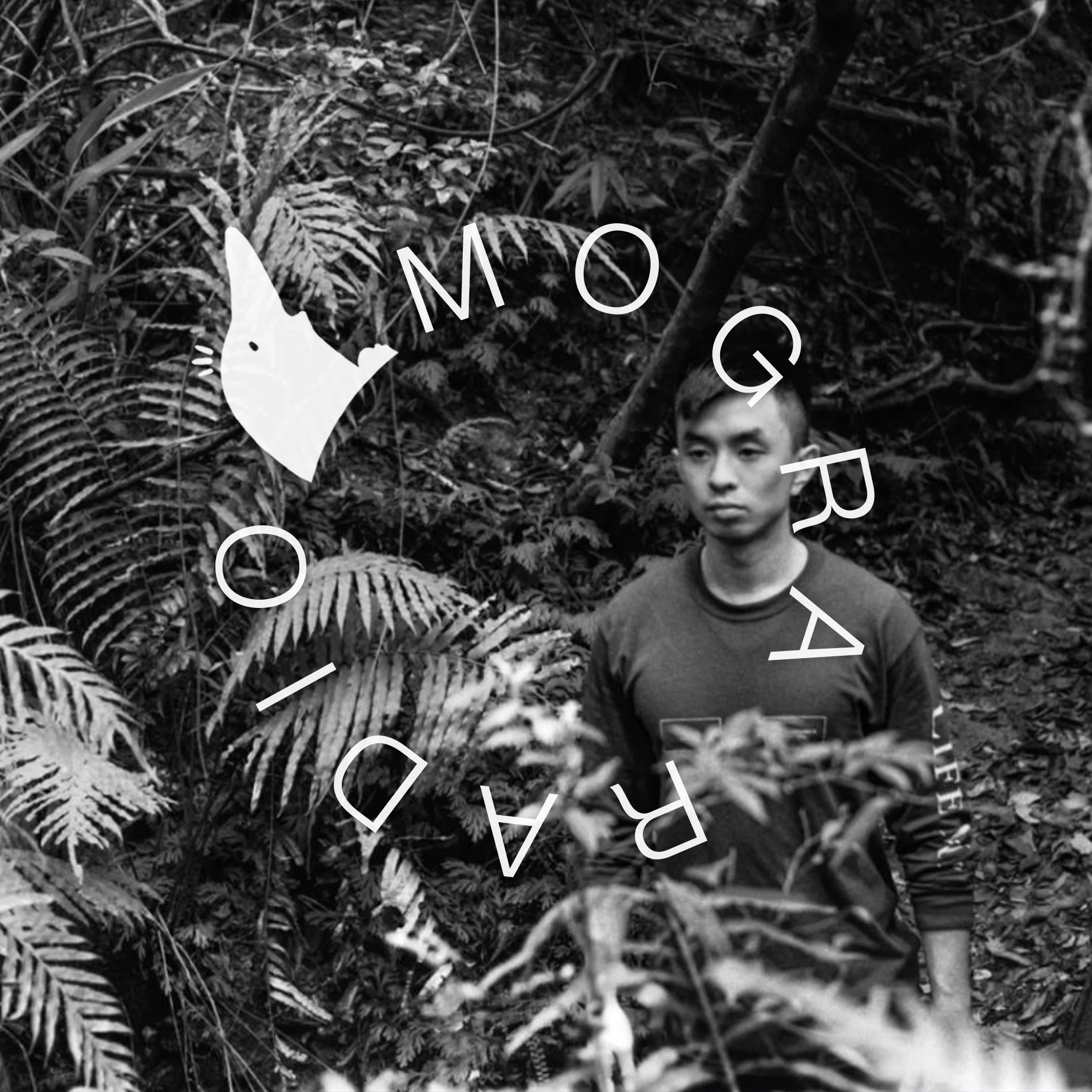 #027 Nanogram