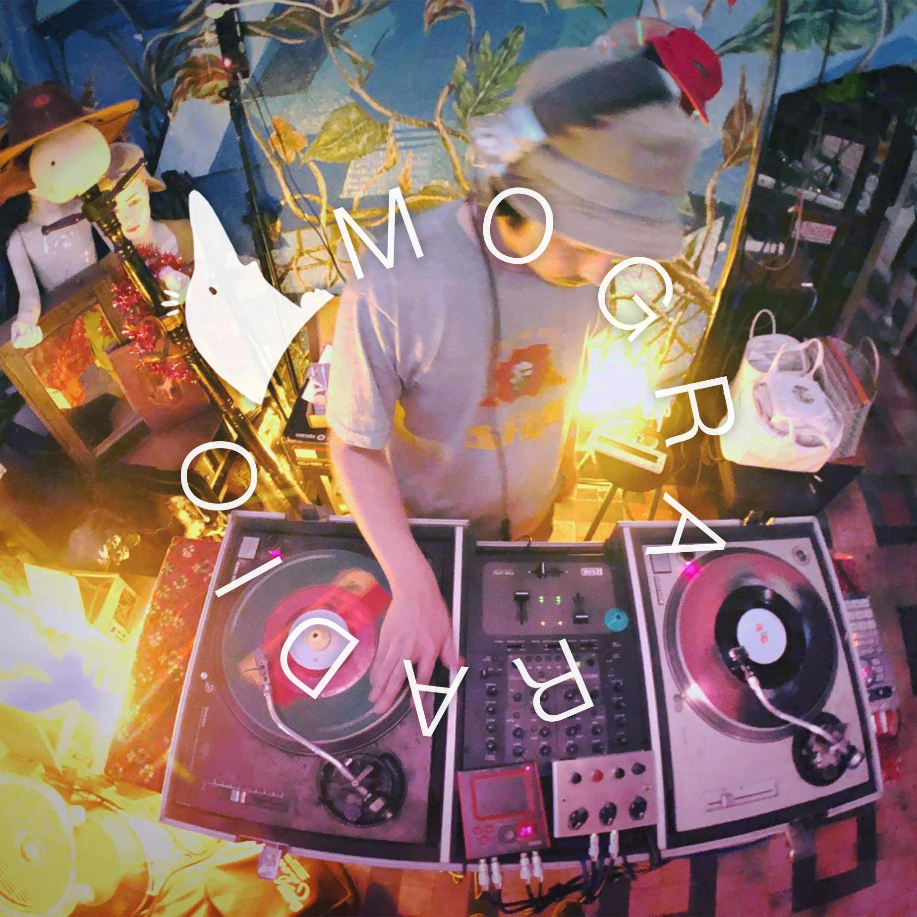 #017 Selecta Shinji