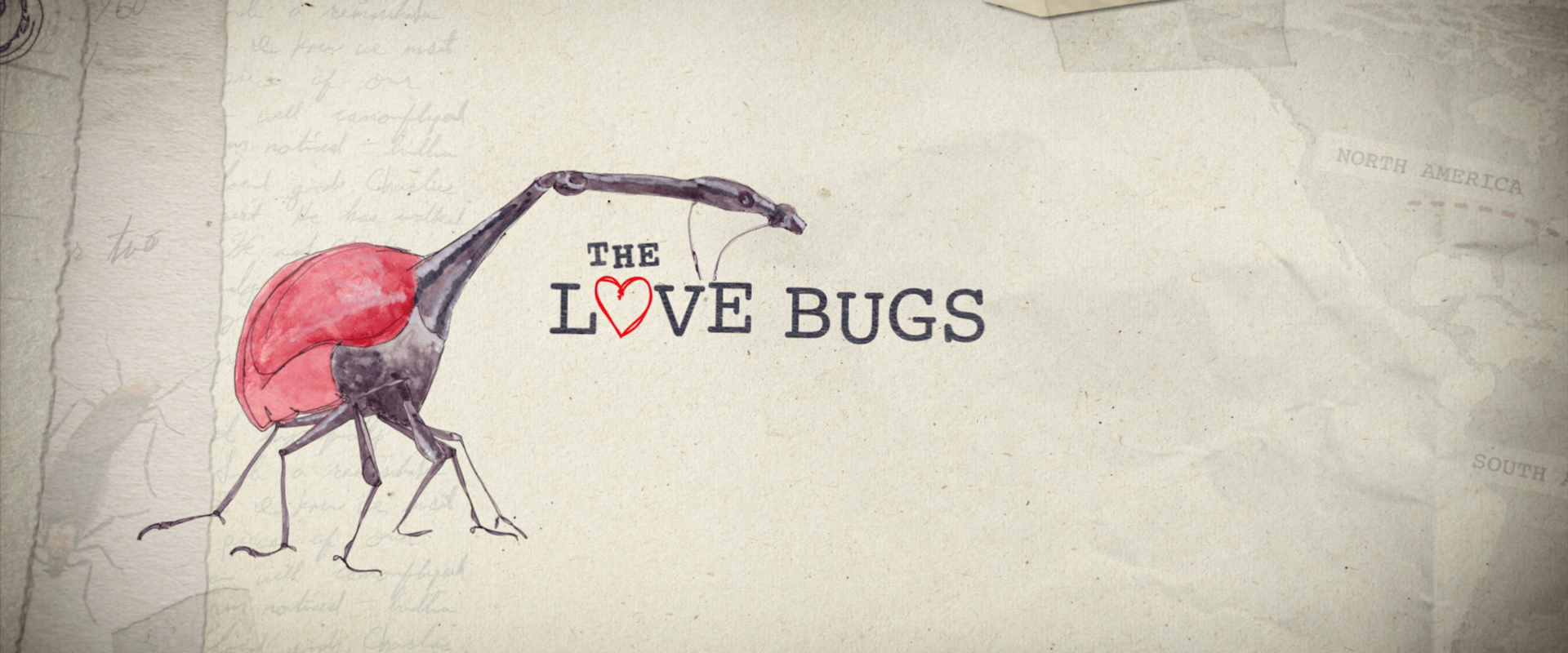The Love Bugs | Mass FX Media
