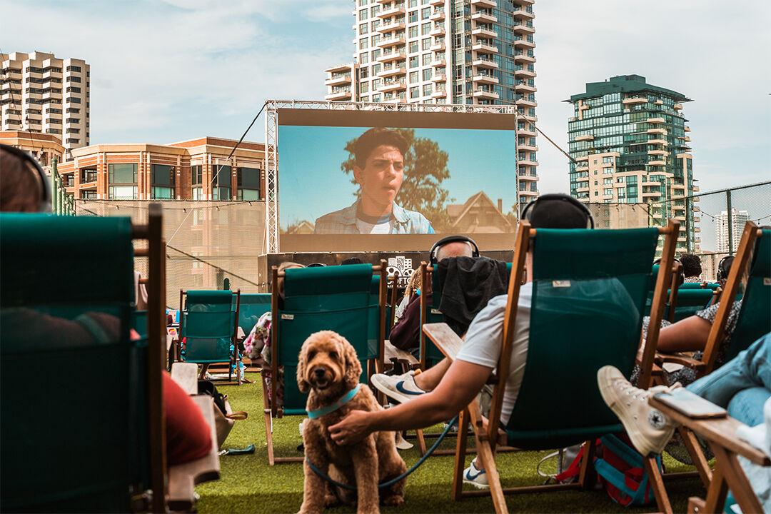 Wooftop Cinema Hosts Dog Lovers for