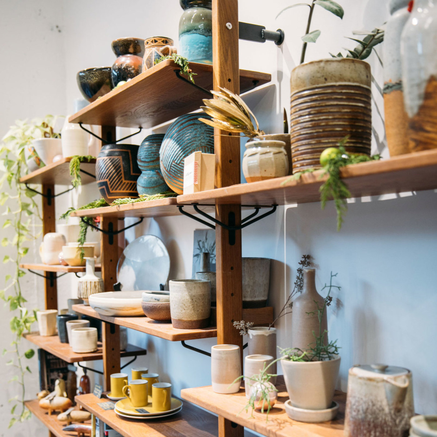 ceramics pottery on shelf with plants