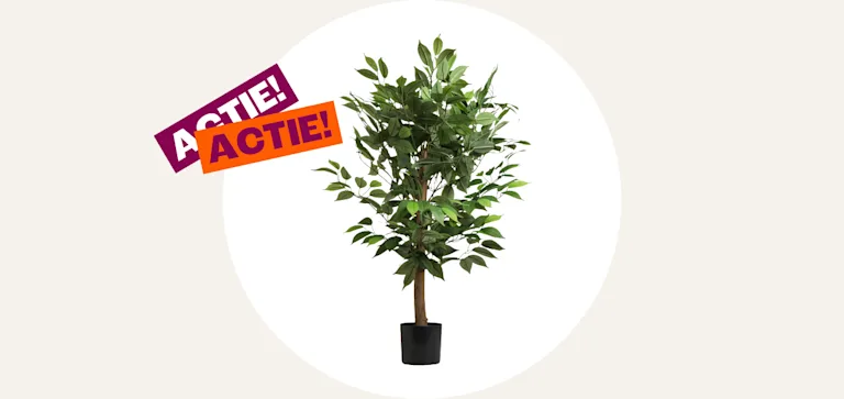 Cardlist - Woondecoratie - Kunstplanten - Alle kunstplanten 20% korting