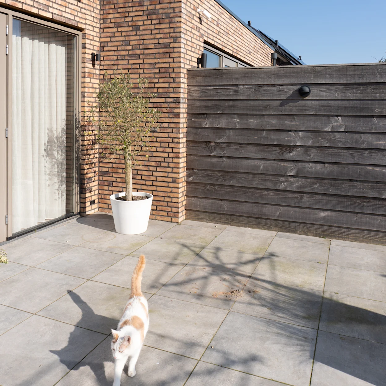 Before foto: een kale en lege tuin