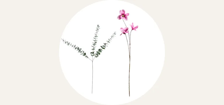 Cardlist - Kunsttakken