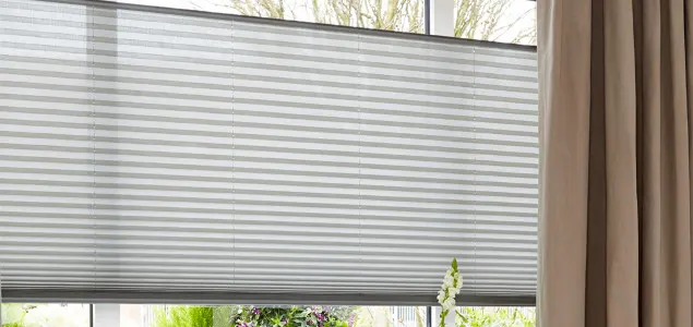 Lichtdoorlatende dubbel plisségordijnen