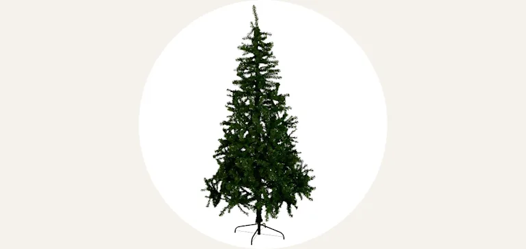 Kerstbomen