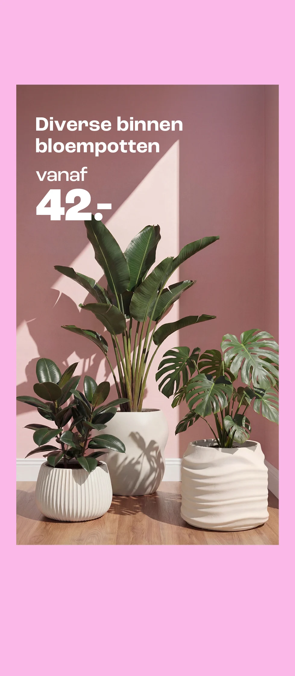 Product tile banner - Diverse binnen bloempotten - BE