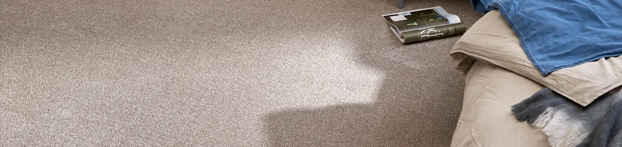 Tapijt, Schoonmaken