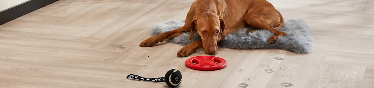 Vinyl vloer met vieze honden pootjes