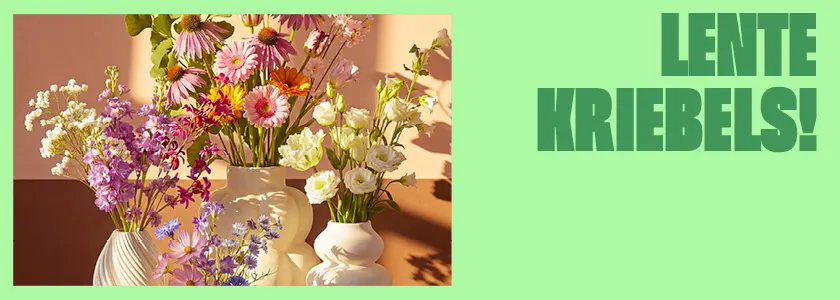 Bekijk al onze lente artikelen