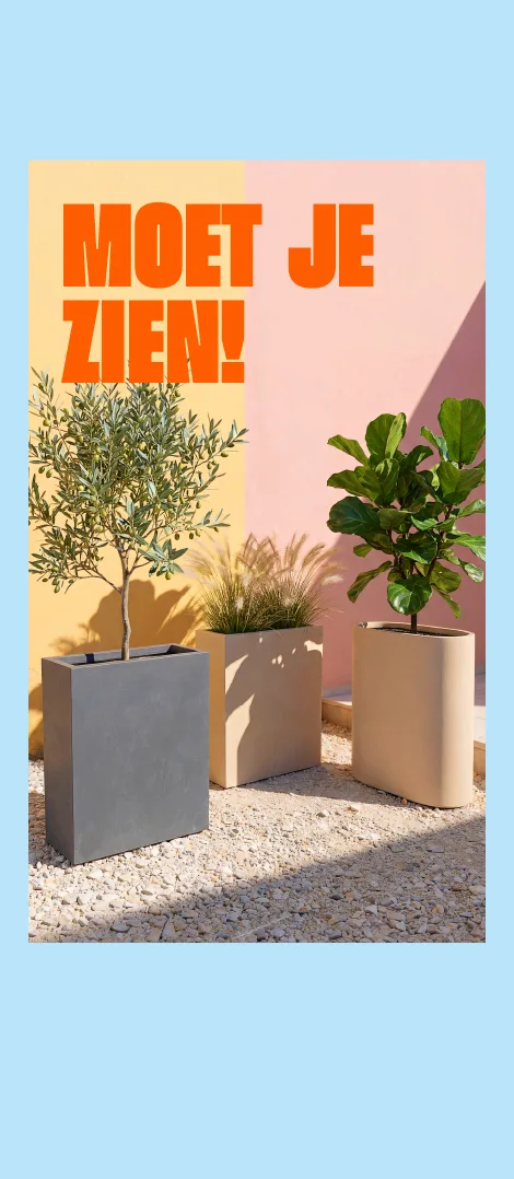 Product tile banner - Dividers