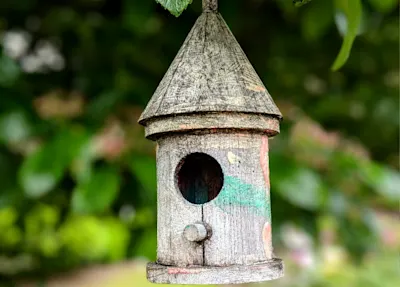 Image of a bird house hanging from a tree