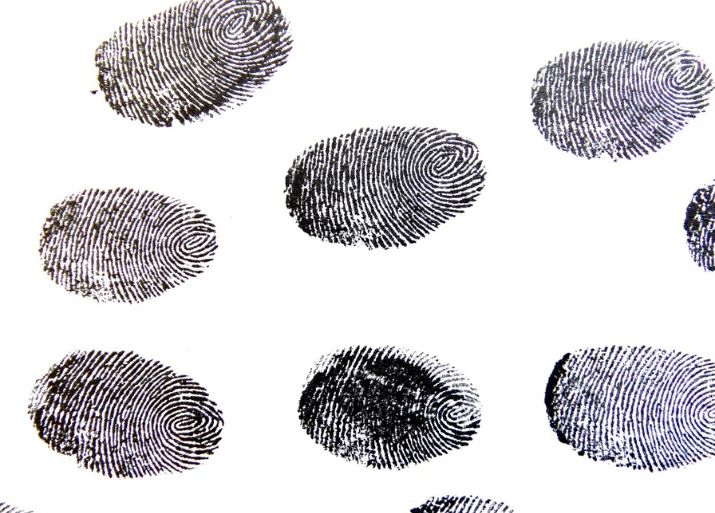 Image of fingerprints