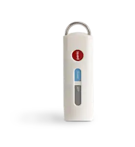 Keychain Remote (SS2)