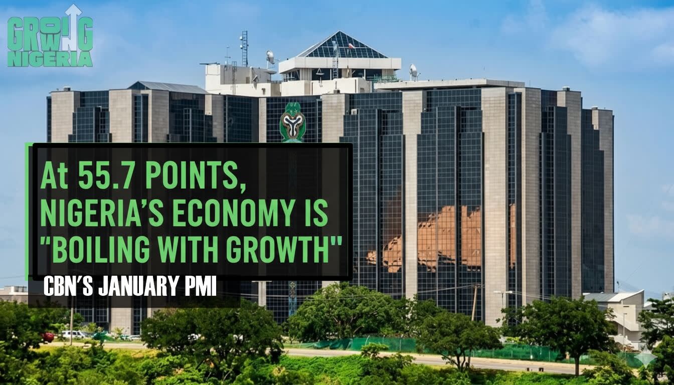 Understanding The CBN's January 2026 PMI Report