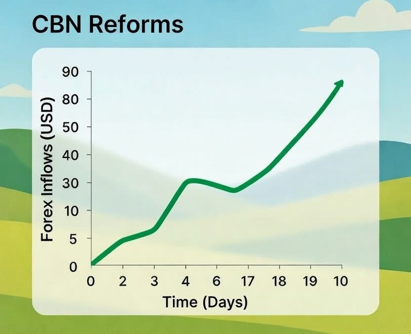 Fall-out of CBN Policies: Nigeria’s 'Bank Statement' Is Finally In The Green