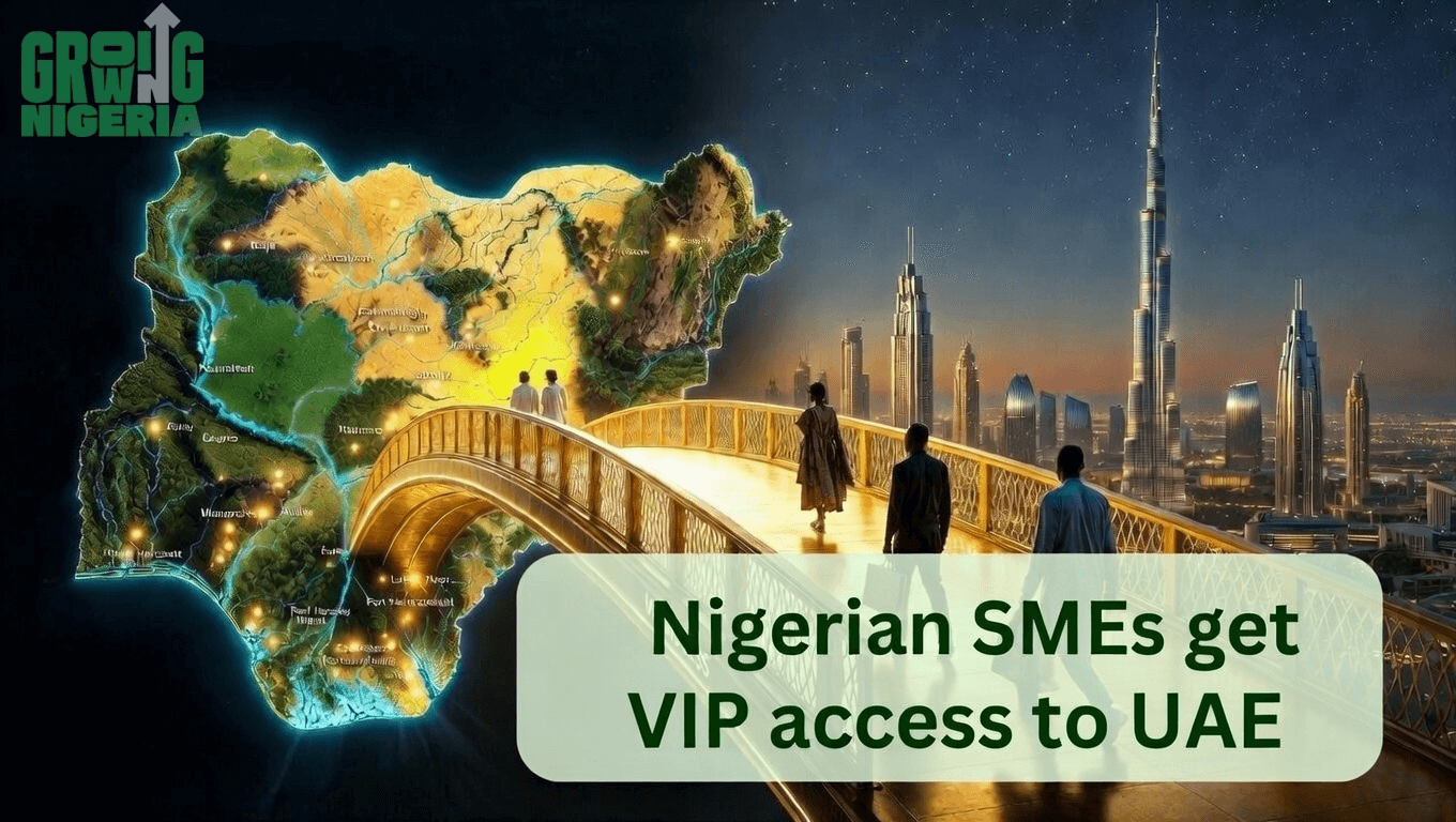 From Visa Bans to Business Plans; How Tinubu govt negotiated 'VIP Pass' for Nigerian SMEs to the UAE