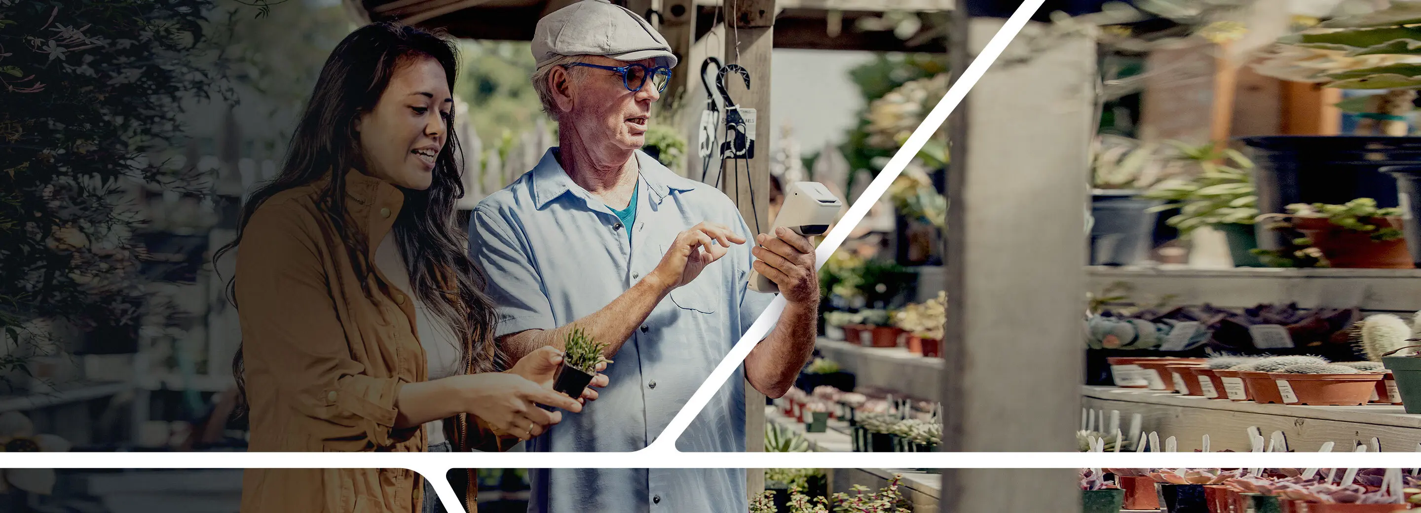 Customer purchasing a succulent from a merchant using a Clover Flex. 