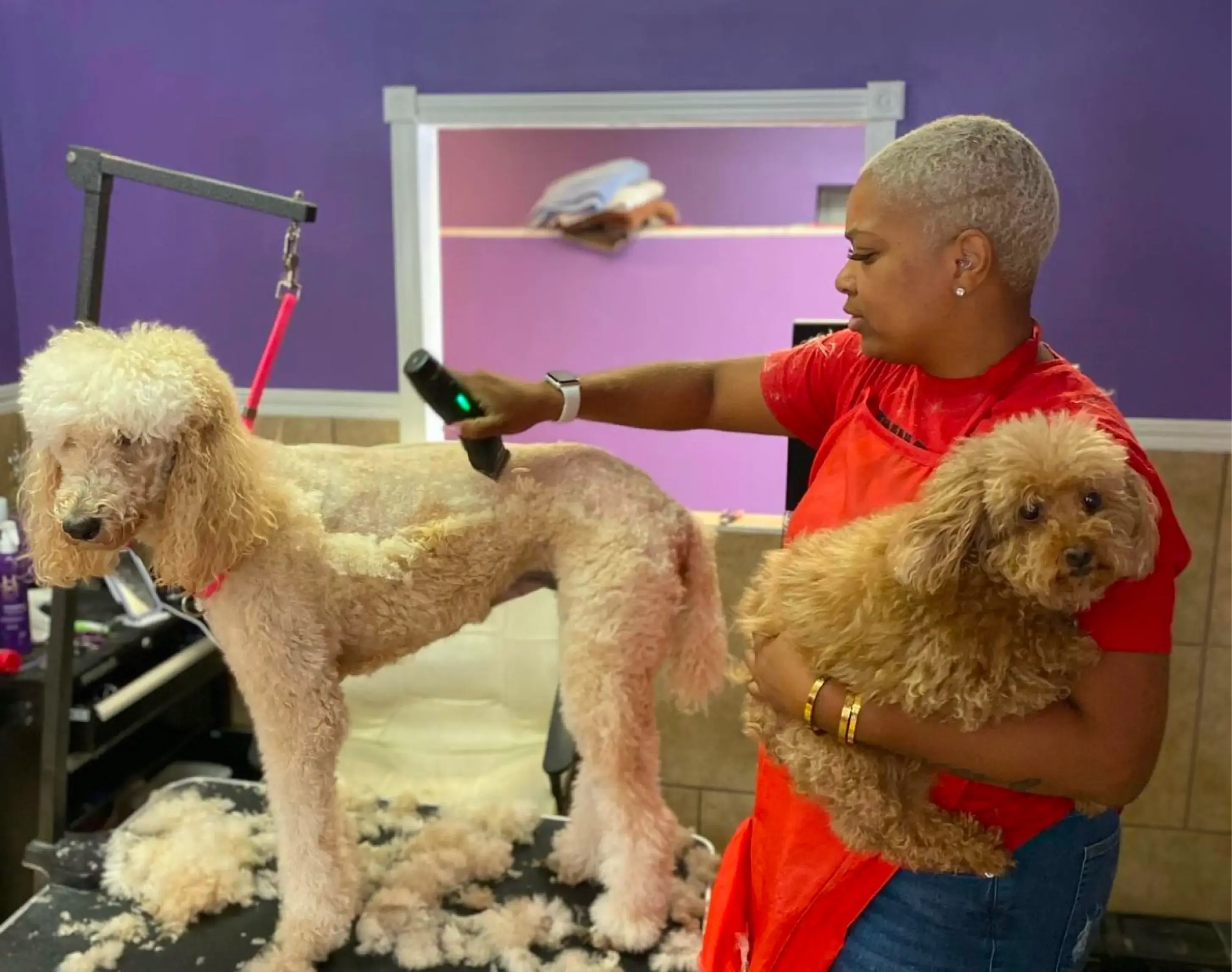 Chateau 4 paws business owner grooming a dog on a table while holding another small dog in their arms