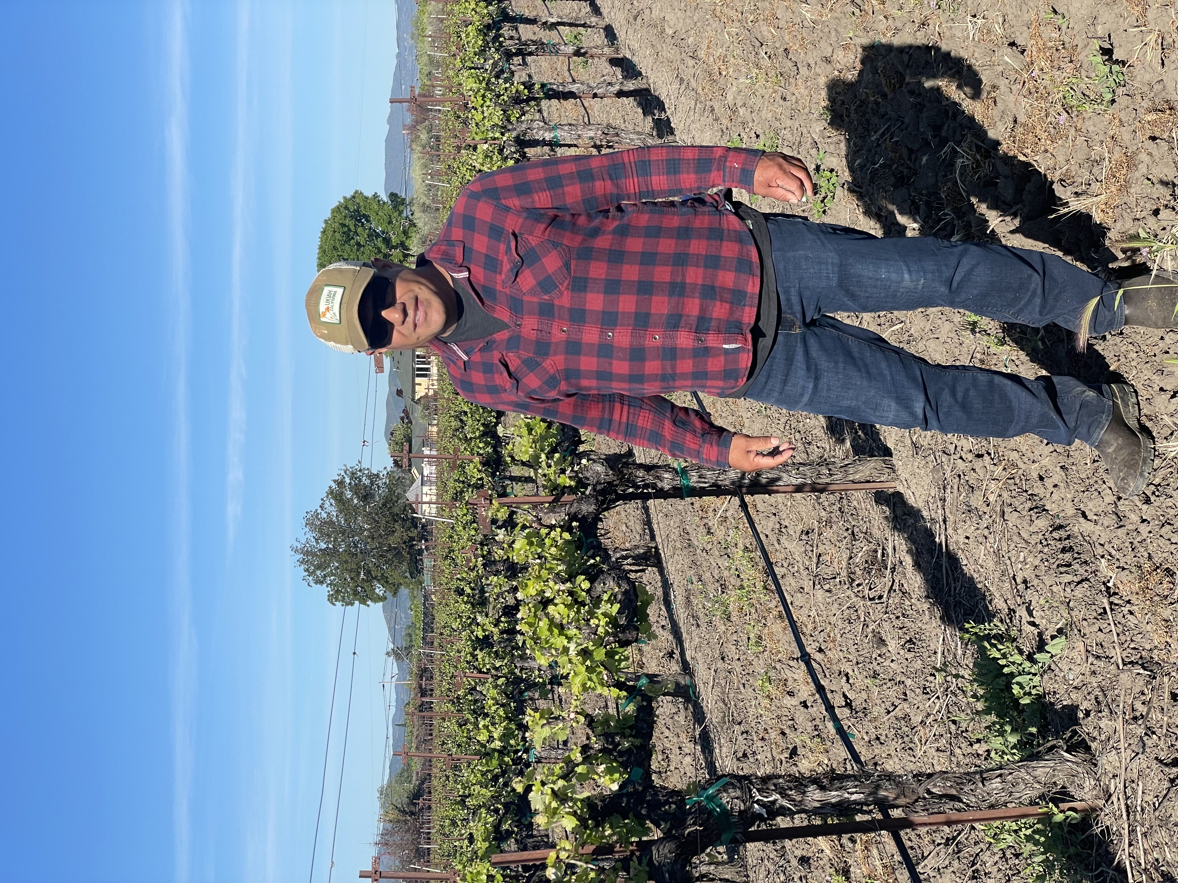 Winemaker Rogelio Alvarado in the vines at Dancing Crow Vineyards
