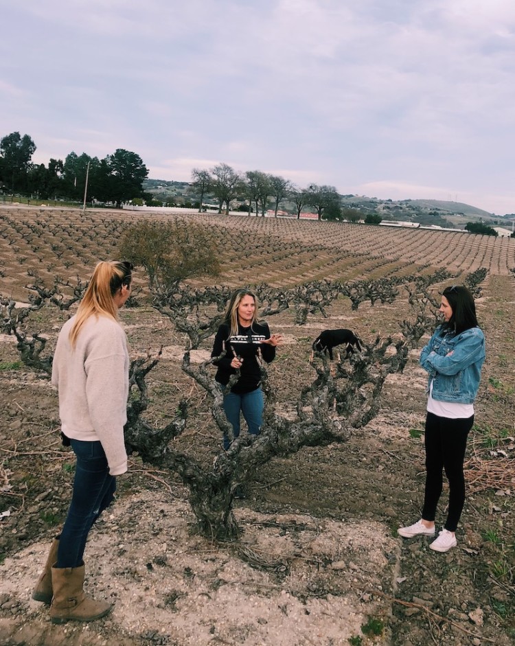 Maker founders at JDusi Winery, Paso Robles